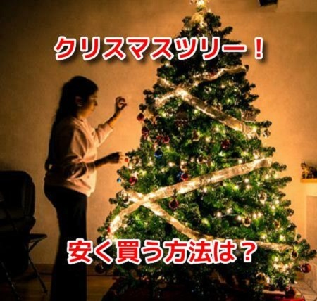 クリスマスツリー　安く買う方法